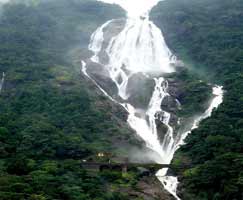 Thenmala Honeymoon Tour