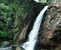 Thenmala Honeymoon Trip