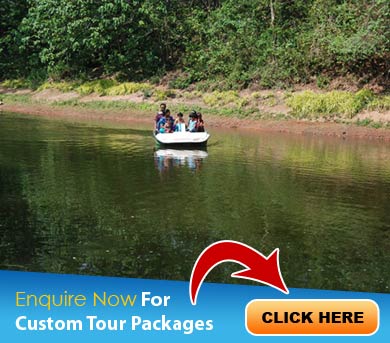 Thenmala Tour Packages